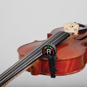  D'ADDARIO