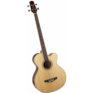 basso acustico TAKAMINE egb2sn